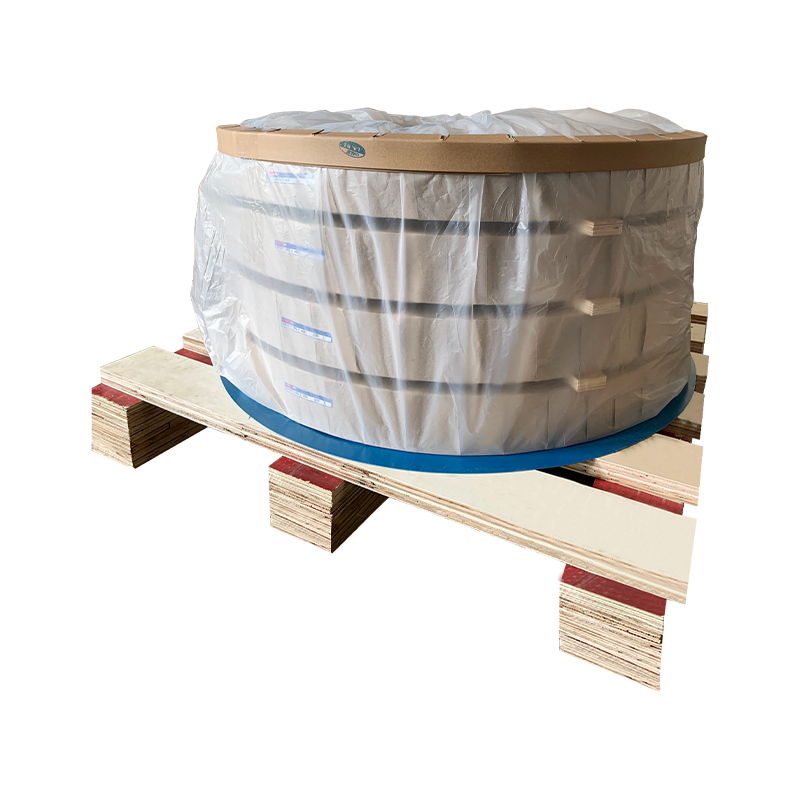 Striscia di acciaio inossidabile laminata a freddo 316L per uso medico